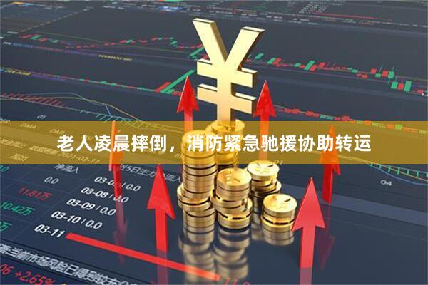 老人凌晨摔倒，消防紧急驰援协助转运