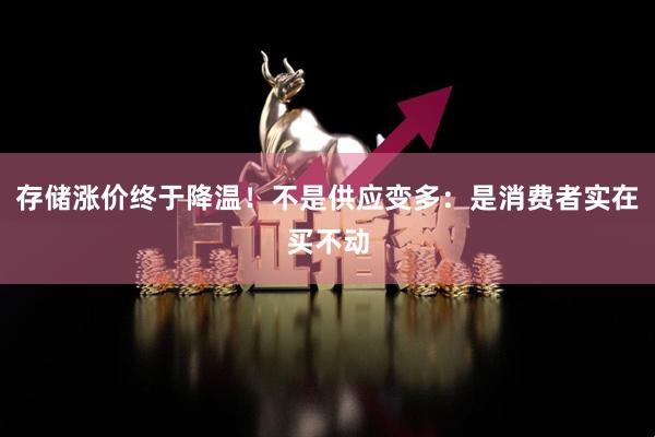存储涨价终于降温！不是供应变多：是消费者实在买不动